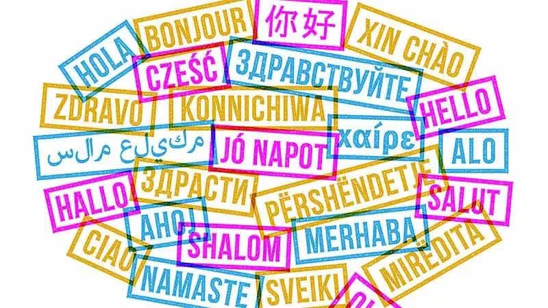 Multilingual Interpreting RSI Remote translation